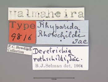 Media type: image; Entomology 9816   Aspect: labels